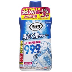 洗濯槽 クリーナー 洗浄剤 塩素系 洗浄力 洗たく槽クリーナー 液体タイプ 550g（ドラム式にも使える）