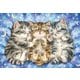 33-137 おやすみ [ジグソーパズル 300ピース （完成サイズ：38×26cm）]
