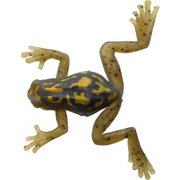 クリッタータックル 野良ガエル #13カジカガエル