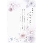 限定私製 喪中ハガキ 菊 インクジェット対応 8枚入り MPC-030
