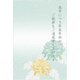 限定私製 喪中ハガキ 菊二輪 5枚入り MPC-034