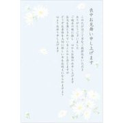 限定私製 喪中見舞いハガキ マーガレット MPC-040