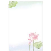 限定私製 喪中はがき 蓮の花と蕾 8枚入り MPC-048