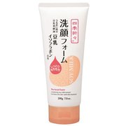 豆乳イソフラボン 洗顔フォーム 200g [クレンジング]