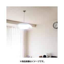 ヨドバシ.com - 瀧住電機 TAKIZUMI RV60049 [LEDペンダント 昼光色 6畳