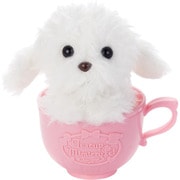 ティーカップミミクリー トイプードル バニラクリーム [6歳～]