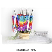 DK51106 ウィンドミル レインボーフィッシュ