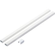 壁用フラットモール(壁紙タイプ) 織目 0.5m 2本 AVD-GAFTW3/CL05