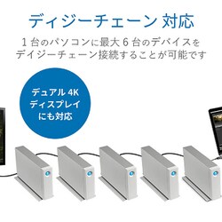 メカニカル ラシー LACIE d2 THUNDERBOLT3 6TB | academiadevendasmb