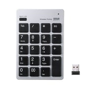 ワイヤレスUSBテンキー NT-WL20SV