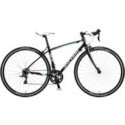 RL6 WOMEN EX 420mm エッジスタイル ミント RL6W42