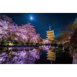 10-1299 月夜に咲く（京都） [ジグソーパズル 1000ピース（完成サイズ：50×75cm）]