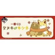 一番くじ タヌキとキツネ