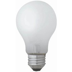 一般電球 E26 白 LW100V90W-TM