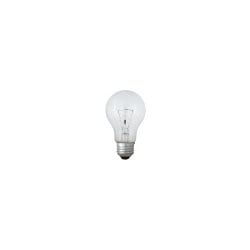 一般電球 E26 クリア LC110V90W-TM