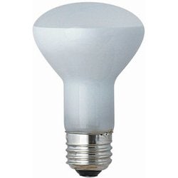 レフランプ E26 RF110V54W-TM