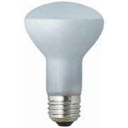 レフランプ E26 RF110V36W-TM