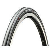 EXTENZA 700×23C グレー RBC7023(F301300GR)