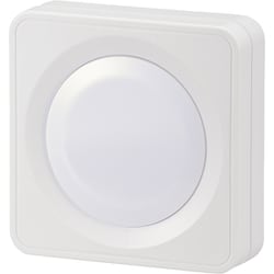LEDプッシュライト NIT-BLA6PH-WN
