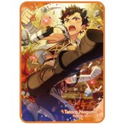 あんさんぶるスターズ！ ビジュアルブランケットvol.1 (8)南雲鉄虎 [約H1000×W700×D5mm]