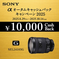 ヨドバシ.com - ソニー SONY SEL24105G FE 24-105mm F4 G OSS