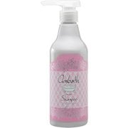 アンバス シャンプー 500ml [シャンプー]