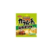 カラムーチョチップス 山わさび味 55g