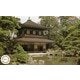 建物14 1/150 慈照寺/銀閣寺 [2025年6月再生産]