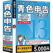 WS-DKP13 [青色申告でき太 13]