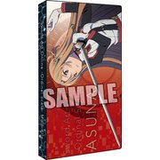 劇場版 ソードアート・オンライン -オーディナル・スケール- マルチファイル「キリト＆アスナ」 [縦196×横100×マチ14mm]