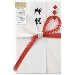 金封424 大金封 お祝 25424006