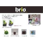 brio ブリオ 35 スターター5点セット