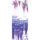 Kenema 注染手ぬぐい 花圃 藤鏡 800131