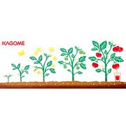 53394 [Kenema 注染てぬぐい コラボレーションてぬぐい ラブトマト]