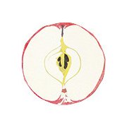 フルーツブロックメモ リンゴ YKP90-0706