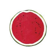 フルーツブロックメモ スイカ YKP90-0713