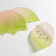 リーフメモ ピンク YKP90-1277