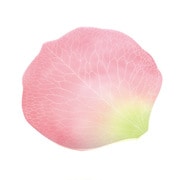 フラワーメモ ピンク YKP90-2489