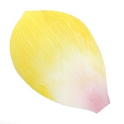 フラワーメモ イエロー YKP90-2502