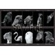 10-792 [ジグソーパズル The Zoological Garden ～言葉のない対話～ アニマルセレクション 1000ピース]