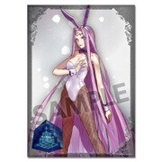 Fate/EXTELLA A3クリアポスター メドゥーサ 魅惑のバニースーツ [キャラクターグッズ]