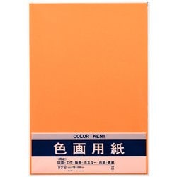 色画用紙 N871 オレンジ Pエ-N87DA