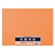 色画用紙 N471 オレンジ Pエ-N47DA