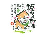 年賀はがき スタンダードカラー 5枚 A06
