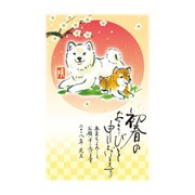年賀はがき スタンダードカラー 5枚 A07