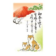 年賀はがき スタンダードカラー 5枚 A09