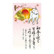 年賀はがき スタンダードカラー 5枚 A13