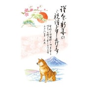 年賀はがき スタンダードカラー 5枚 A19