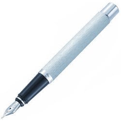 ビジョン 38520 シルバー 万年筆 M（中字） 両用式 38520