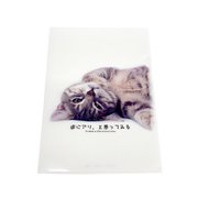 A4 クリアファイル 「逆にアリ、と思ってみる」